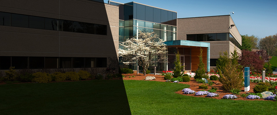 Spring Lake Landscapers